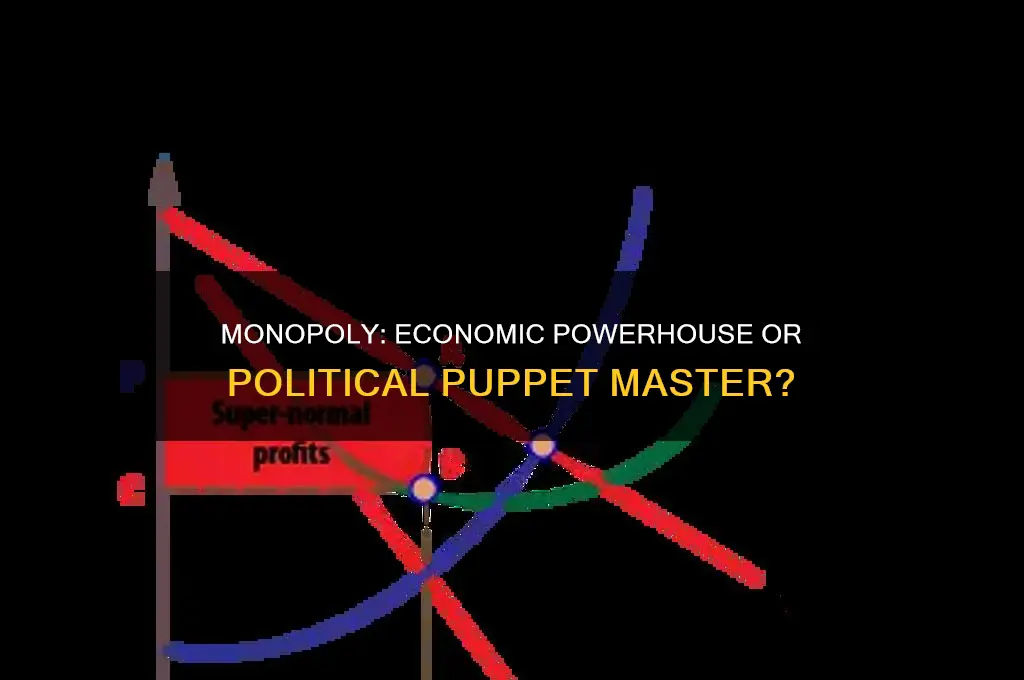 is monopoly economy or politics