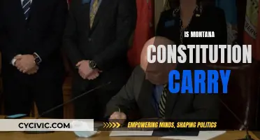 Montana's Constitutional Carry: What Does It Mean?