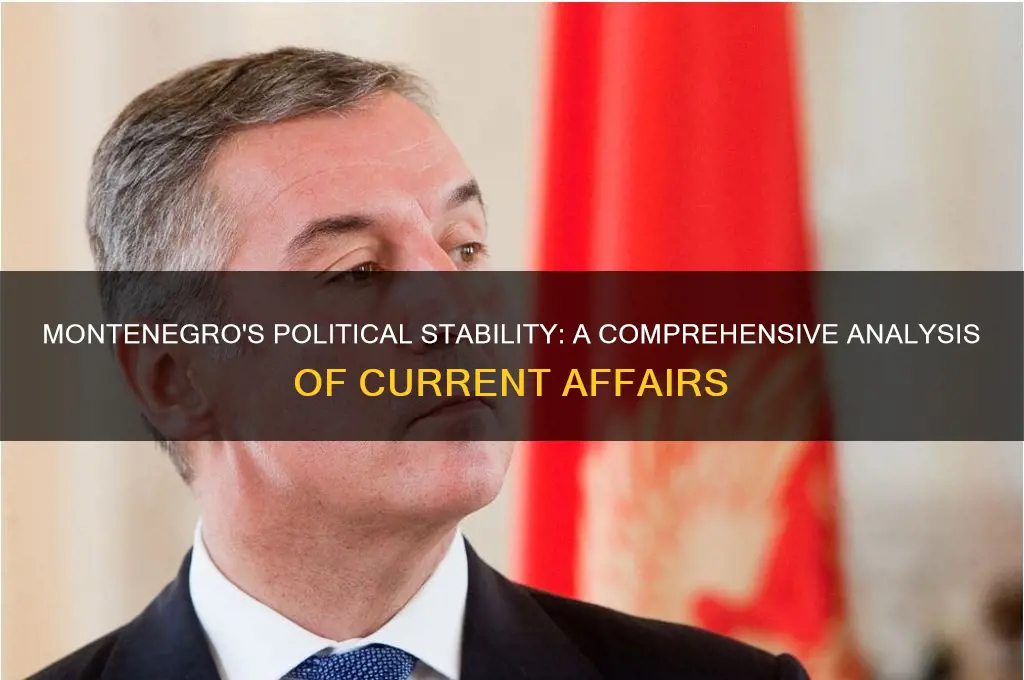 is montenegro politically stable