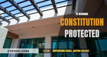 Mooning and Free Speech: What Does the Constitution Say?