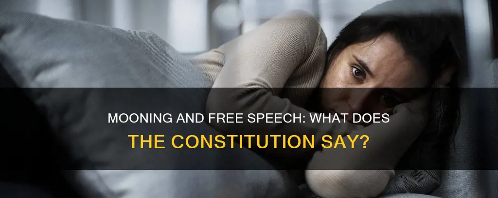 is mooning constitutionally protected