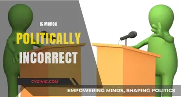 Is 'Moron' Politically Incorrect? Exploring Language Sensitivity and Respect