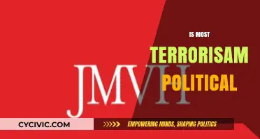 Is Most Terrorism Political? Unraveling Motives and Global Implications