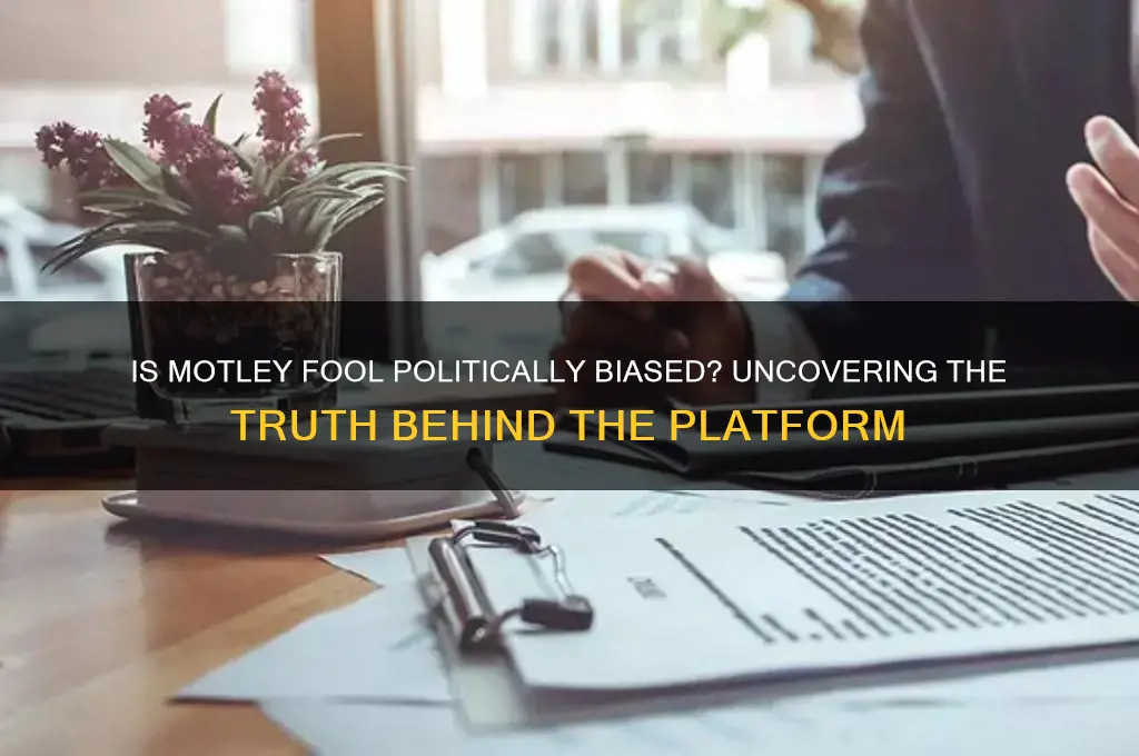 is motley fool political