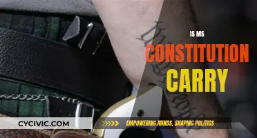 Constitutional Carry in Mississippi: What You Need to Know