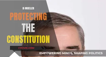 Mueller's Actions: Protecting Constitution or Political Maneuvering?