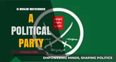 Is the Muslim Brotherhood a Political Party or Movement?