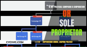 Political Campaign: Corporation or Sole Proprietor?
