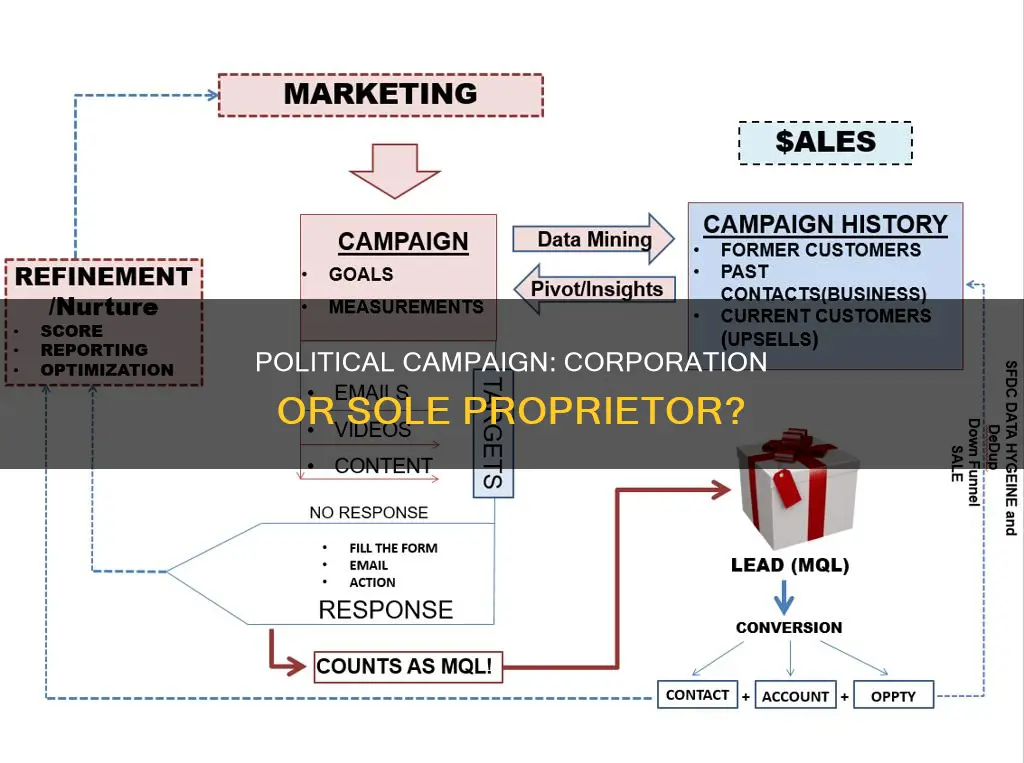is my political campaign a corporation or sole proprietor