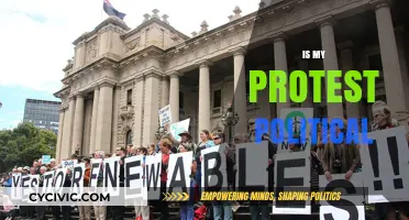 Is My Protest Political? Understanding the Intersection of Activism and Politics