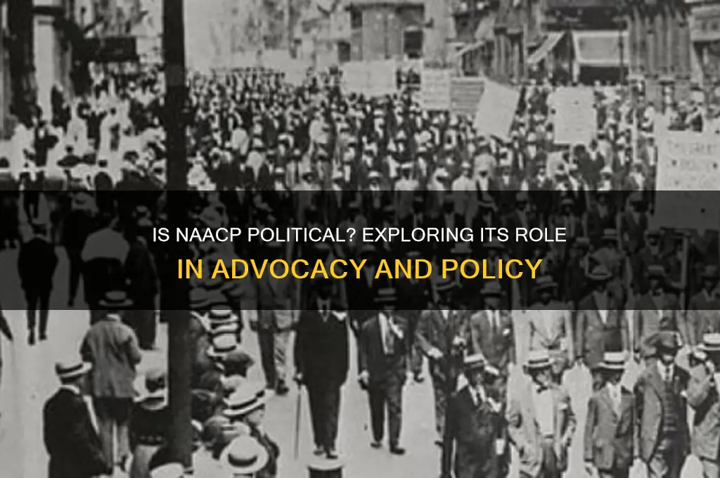 is naacp a political organization