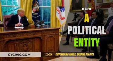Is NAFTA a Political Entity? Exploring Its Role and Impact