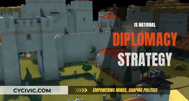 Diplomacy Strategies: National Focus, Global Impact