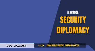 Diplomacy's Role in National Security: A Complex Relationship