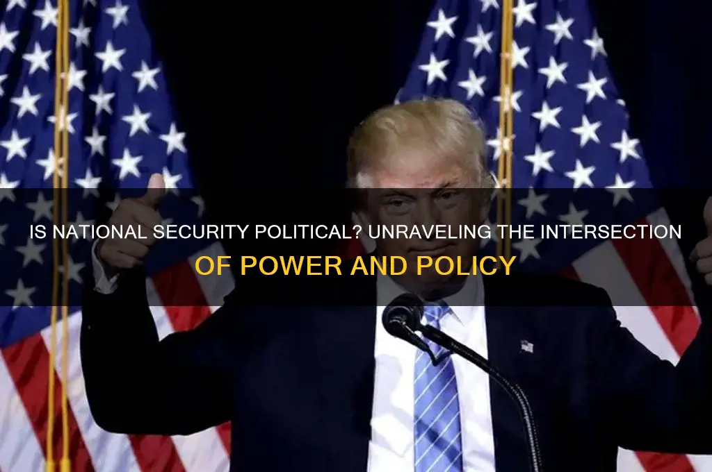 is national security political