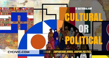 Nationalism's Dual Nature: Cultural Roots vs. Political Manifestation Explored