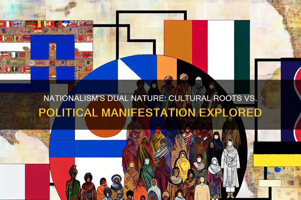 is nationalism cultural or political