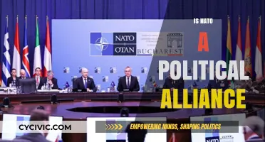 NATO's Political Role: Alliance or Military Partnership?