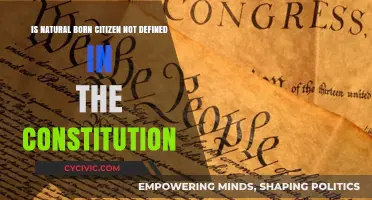 What Does "Natural Born Citizen" Actually Mean?
