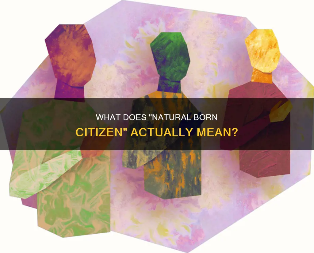 is natural born citizen not defined in the constitution