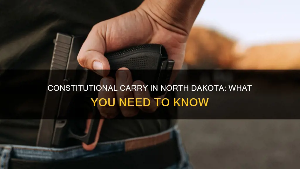 is nd constitutional carry