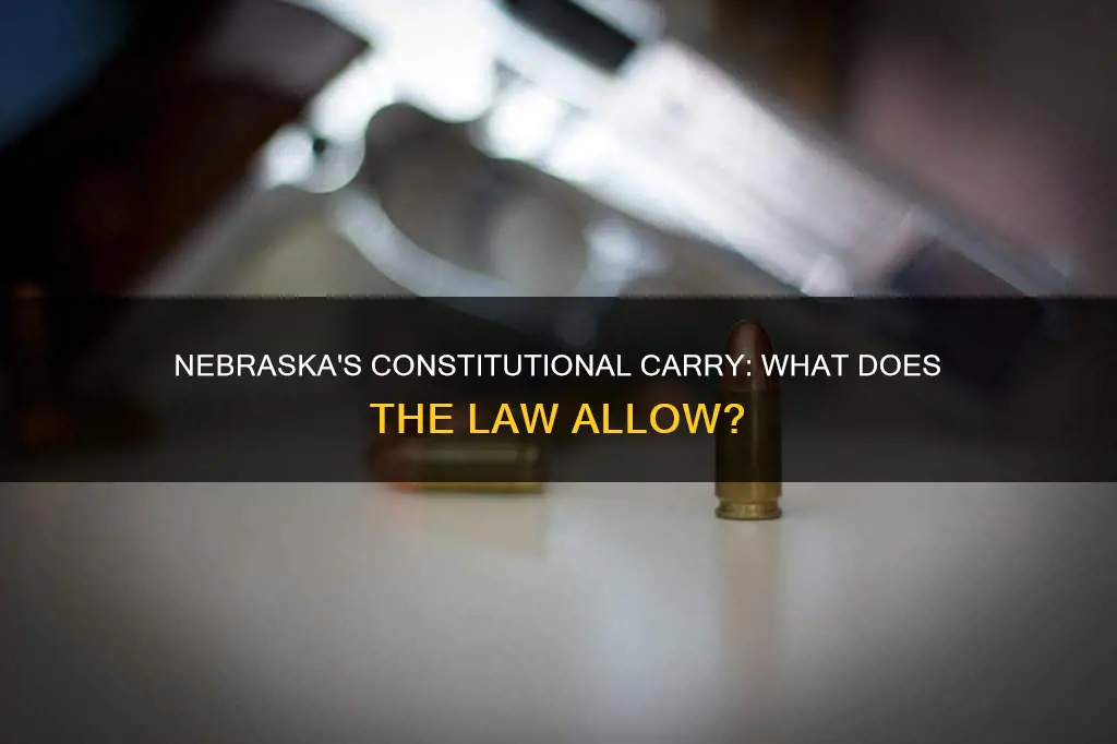 is nebraska constitutional carry