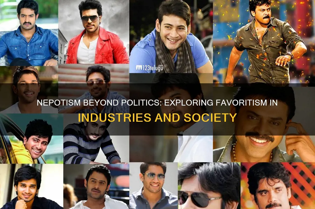 is nepotism only political