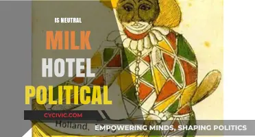 Neutral Milk Hotel's Politics: Unraveling the Band's Subtle Societal Commentary