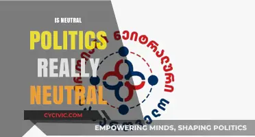Neutral Politics: Unveiling the Illusion of Impartiality in Governance