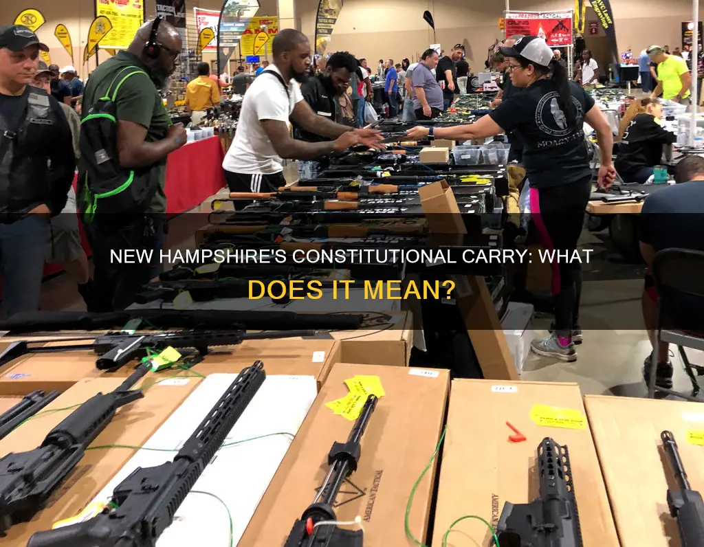 is new hampshire constitutional carry