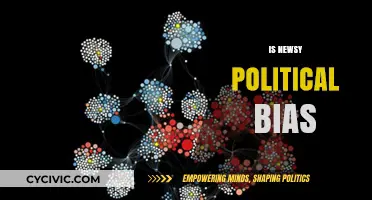 Uncovering Newsy's Political Slant: Fact or Fiction?