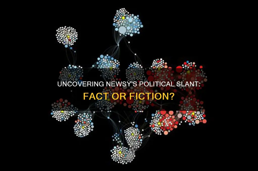 is newsy political bias