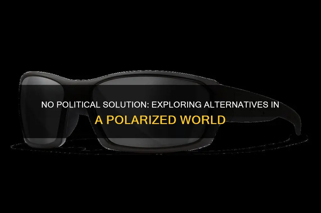 is no political solution