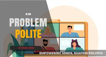 Is 'No Problem' Polite? Decoding Modern Etiquette in Responses