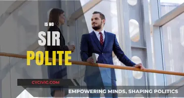 Is 'No Sir' Polite? Decoding Respectful Communication in Modern Etiquette
