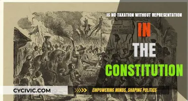 Taxation Representation: Is It in the Constitution?