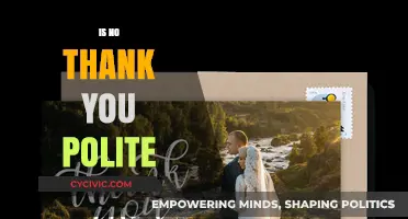 Is 'No Thank You' Polite? Decoding Etiquette in Modern Communication