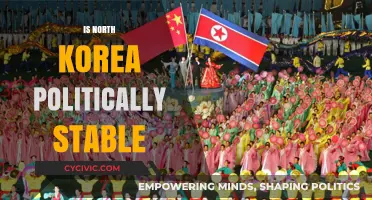 Is North Korea Politically Stable? Analyzing Its Internal and External Dynamics