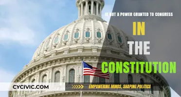 What Congress Can't Do: Exploring Constitutional Limits