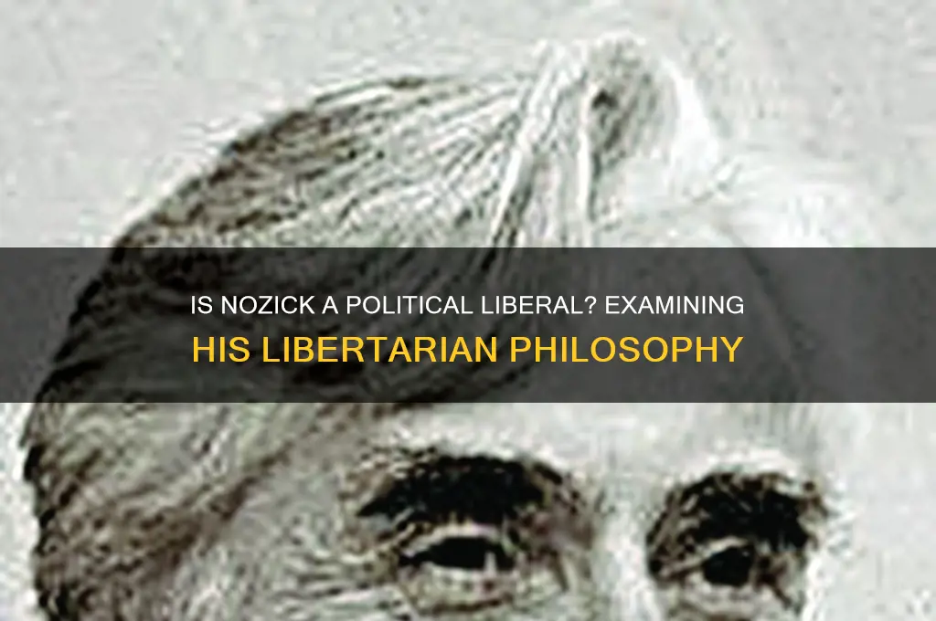 is nozick a political liberal