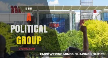 Is the NRA a Political Group? Uncovering Its Influence and Agenda