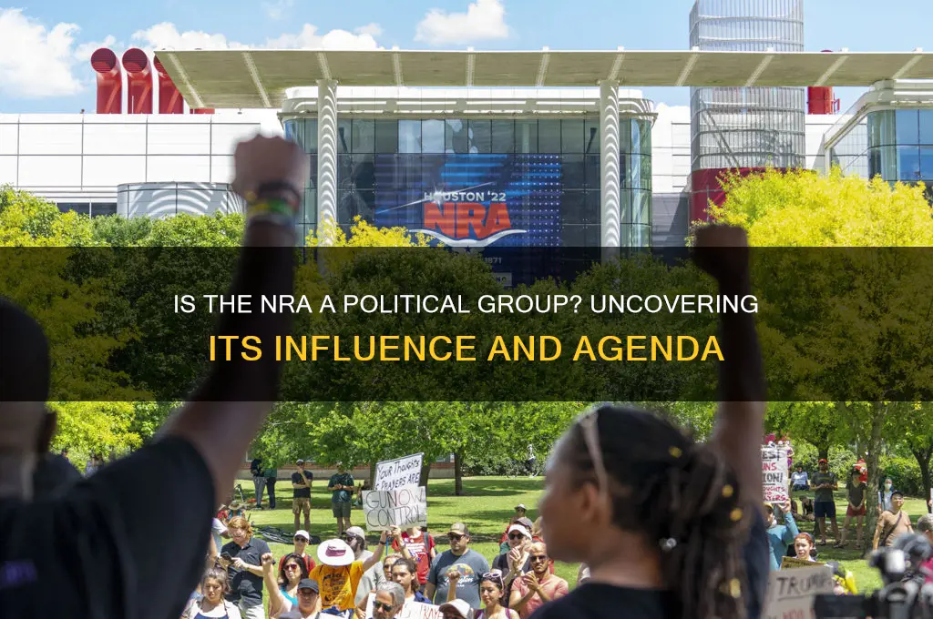 is nra a political group