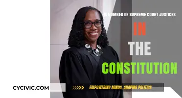 The Supreme Court: Justices and the Constitution