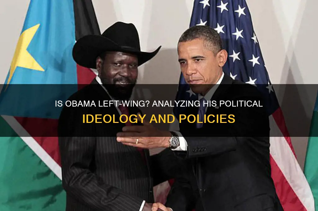 is obama left wing politics