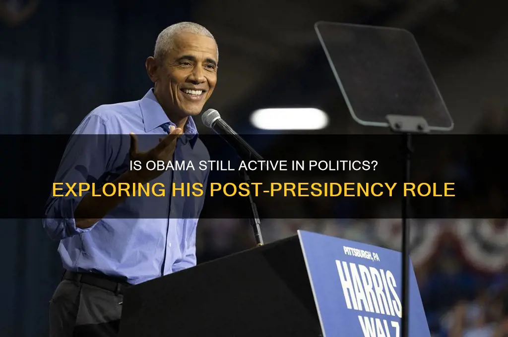 is obama still in politics