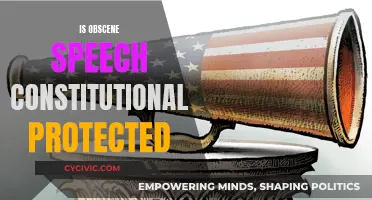 Obscene Speech: Protected or Prohibited by the Constitution?