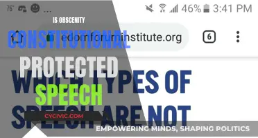 Obscenity: Free Speech or Unconstitutional?