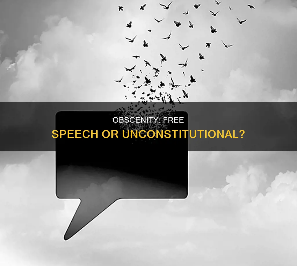 is obscenity constitutionally protected speech