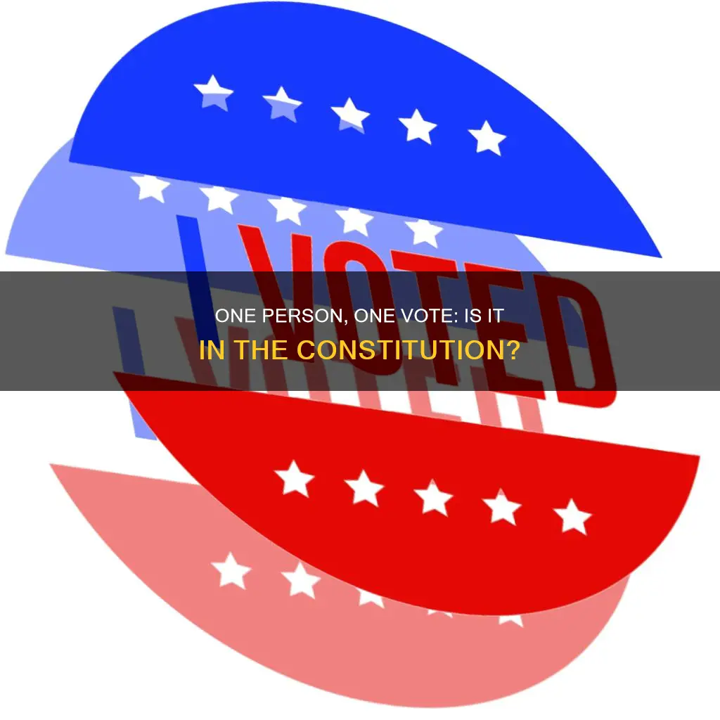 is one person one vote in the constitution