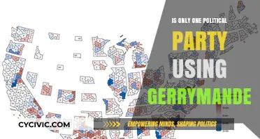 Gerrymandering: A Partisan Tool or Shared Political Strategy?